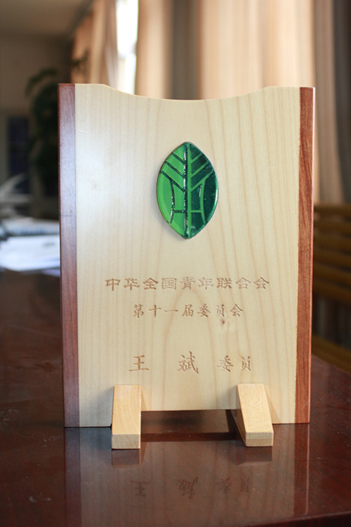 中華全國(guó)青年聯(lián)合會(huì)第十一屆委員會(huì)