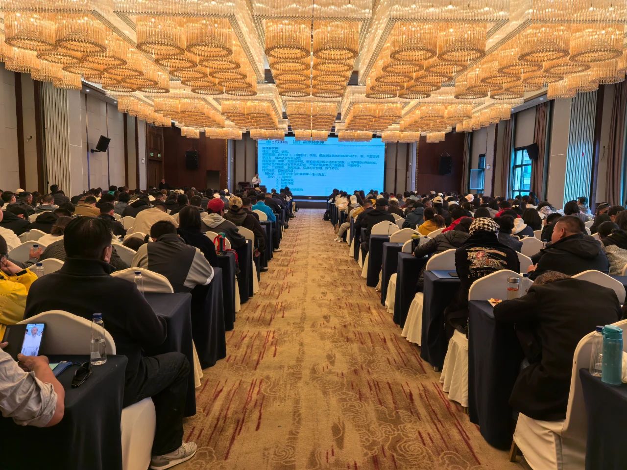 西藏阜康醫院助力：2025年春季自治區持證導游崗前培訓圓滿收官