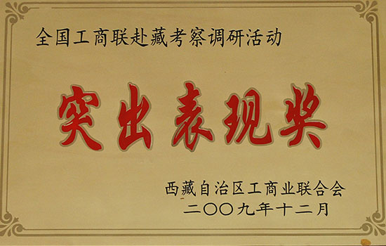 全國(guó)工商聯(lián)赴藏考察調(diào)研活動(dòng) 突出表現(xiàn)獎(jiǎng)